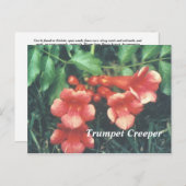 Trumpet Briefkaart (Voorkant / Achterkant)