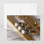 Trumpet en vel Music Brass Instrument Briefkaart (Voorkant / Achterkant)