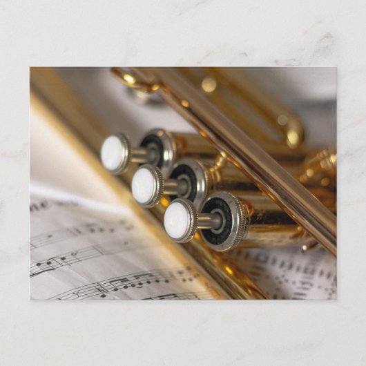 Trumpet en vel Music Brass Instrument Briefkaart (Voorkant)