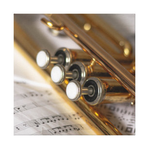 Trumpet en vel Music Brass Instrument Canvas Afdruk