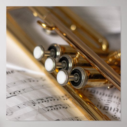 Trumpet en vel Music Brass Instrument Poster (Voorkant)