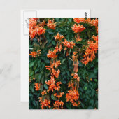 Trumpet Flowers Briefkaart (Voorkant / Achterkant)