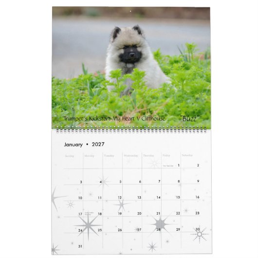 Trumpet Keeshond Calendar 2013-update end of Dec Kalender (Jan 2027)