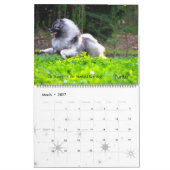 Trumpet Keeshond Calendar 2013-update end of Dec Kalender (Mar 2027)