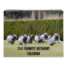 Trumpet Keeshond Calendar 2013-update end of Dec