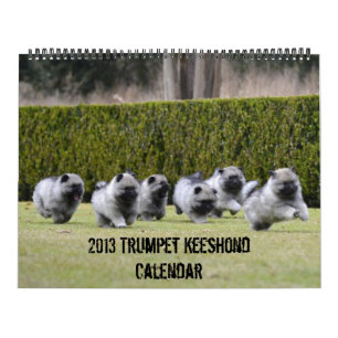 Trumpet Keeshond Calendar 2013-update end of Dec Kalender