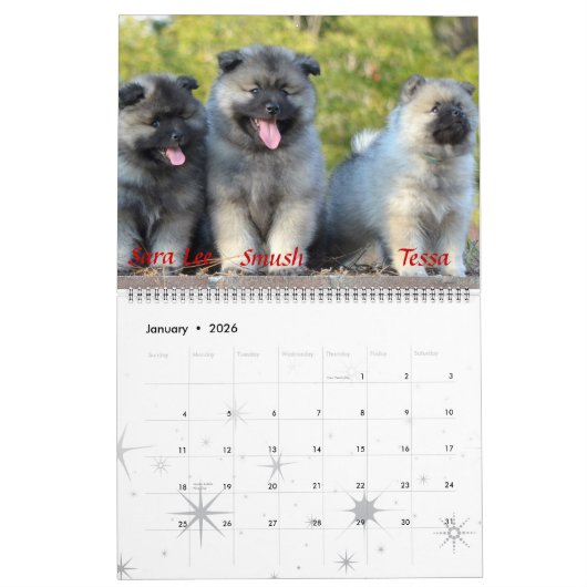 Trumpet Keeshond Calendar Kalender (Jan 2026)