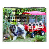 Trumpet Keeshond Calendar Kalender (Hoes)