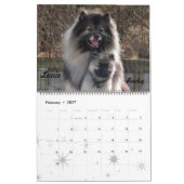 Trumpet Keeshond Calendar Kalender (Feb 2027)