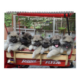 Trumpet Keeshond Calendar Kalender
