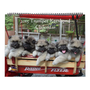 Trumpet Keeshond Calendar Kalender