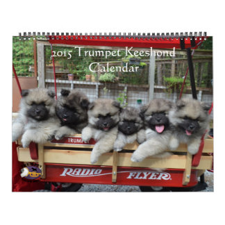 Trumpet Keeshond Calendar Kalender