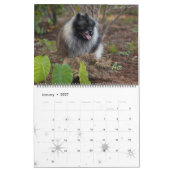Trumpet Keeshond Calendar Kalender (Jan 2027)