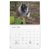 Trumpet Keeshond Calendar Kalender (Jan 2026)