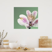 Trumpet Lily Poster (Keuken)