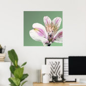 Trumpet Lily Poster (Thuiskantoor)