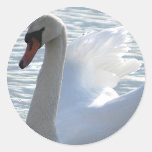 Trumpet Swan Sticker (Voorkant)