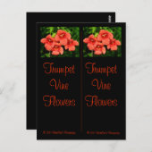 Trumpet Vine Bladwijzer Briefkaart (Voorkant / Achterkant)