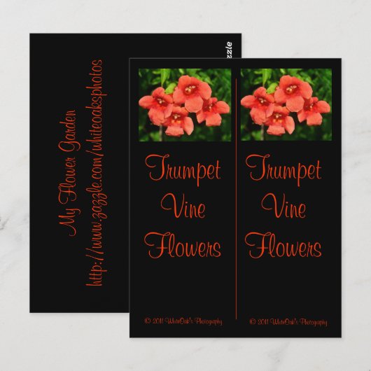 Trumpet Vine Bladwijzer Briefkaart (Voorkant / Achterkant)