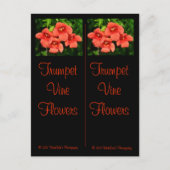 Trumpet Vine Bladwijzer Briefkaart (Voorkant)