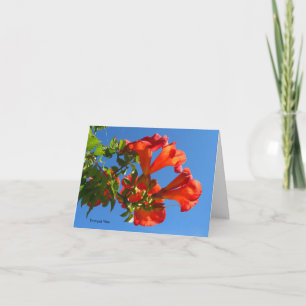 Trumpet vine & Honeysuckle Card Kaart