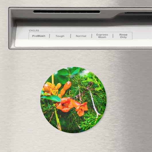 Trumpet Vine Magneet (Insitu (Vaatwasser))