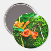 Trumpet Vine Magneet (Voorkant / Achterkant)