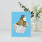 Trumpeter Pigeon AOC Baldhead Briefkaart (Staand voorkant)