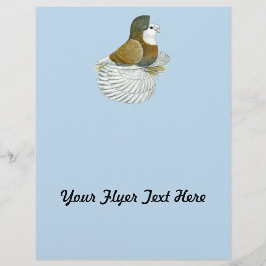 Trumpeter Pigeon AOC Baldhead Flyer (Voorkant)