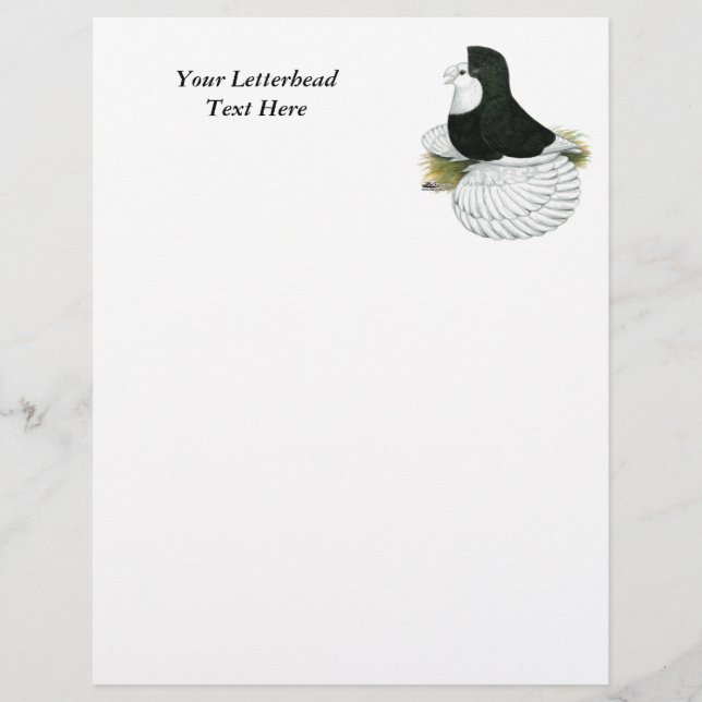Trumpeter Pigeon Black Baldhead (Voorkant)