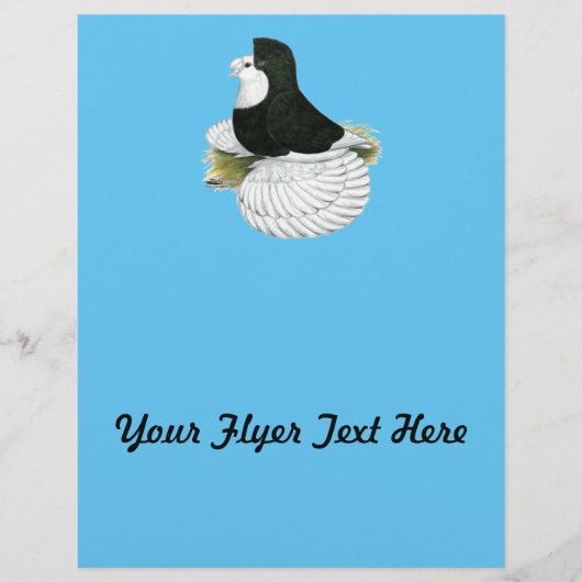 Trumpeter Pigeon Black Baldhead Flyer (Voorkant)