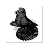 Trumpeter Pigeon Black Zelfinktende Stempel (Design)