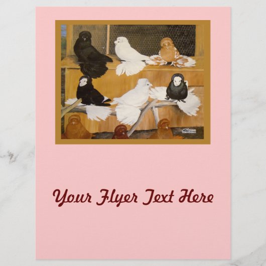 Trumpeter Pigeon Champions Flyer (Voorkant)
