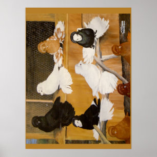 Trumpeter Pigeon Champions Poster