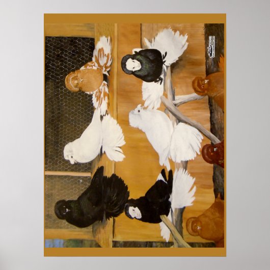 Trumpeter Pigeon Champions Poster (Voorkant)