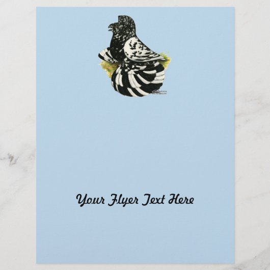 Trumpeter Pigeon Dark Splash Flyer (Voorkant)
