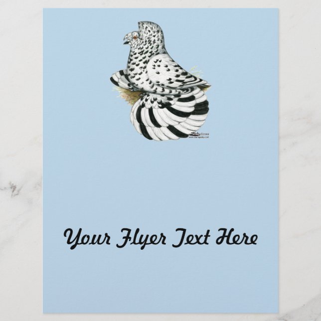 Trumpeter Pigeon Light Splash (Voorkant)