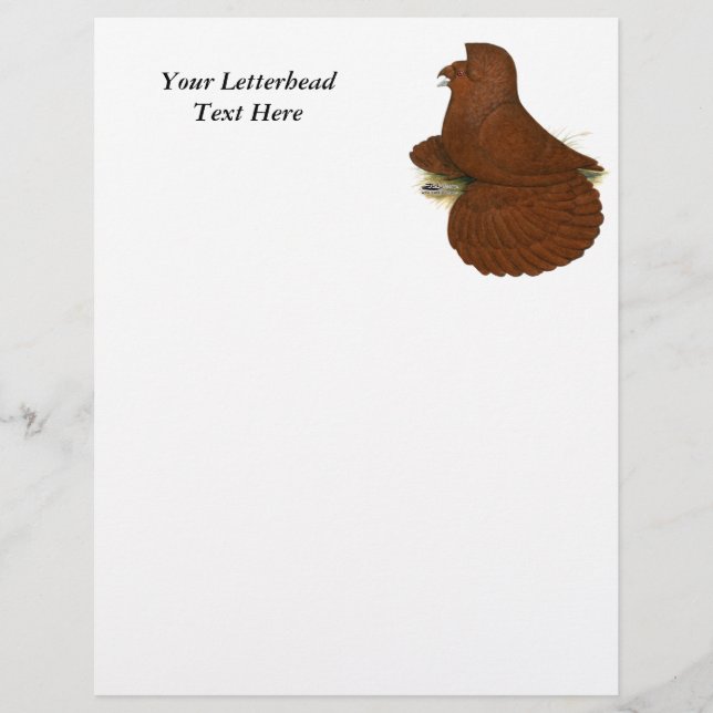 Trumpeter Pigeon Red (Voorkant)