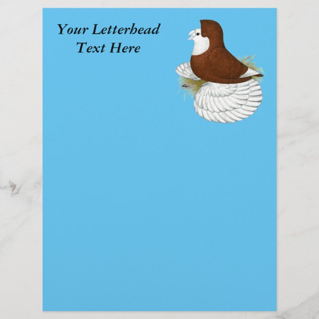 Trumpeter Pigeon Red Baldhead (Voorkant)