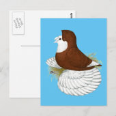 Trumpeter Pigeon Red Baldhead Briefkaart (Voorkant / Achterkant)