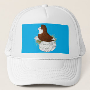 Trumpeter Pigeon Red Baldhead Trucker Pet