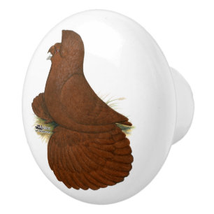 Trumpeter Pigeon Red Keramische Knop