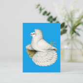 Trumpeter Pigeon White Briefkaart (Staand voorkant)