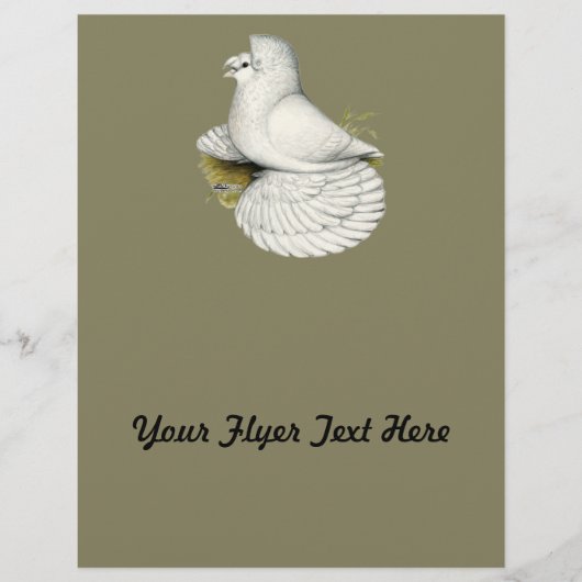 Trumpeter Pigeon White Flyer (Voorkant)