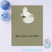 Trumpeter Pigeon White Flyer (Enkel)