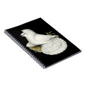 Trumpeter Pigeon White Notitieboek (Rechterzijde)