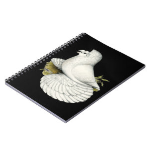 Trumpeter Pigeon White Notitieboek