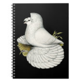 Trumpeter Pigeon White Notitieboek (Voorkant)
