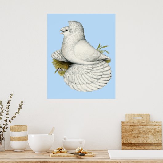 Trumpeter Pigeon White Poster (Keuken)