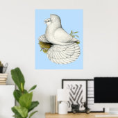 Trumpeter Pigeon White Poster (Thuiskantoor)
